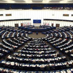 Mario Mauro/Sei domande sul Parlamento Europeo